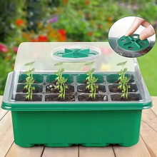 Load image into Gallery viewer, 12-Cell Plastic Seedling Starter Tray for Succulent and Garden Seeds