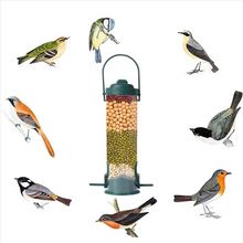 Load image into Gallery viewer, Metal Window Bird Feeder with Weight-Activated Rotating Perch and Seed Capacity