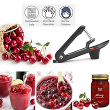 Load image into Gallery viewer, Stainless Steel Cherry and Olive Pitter Tool