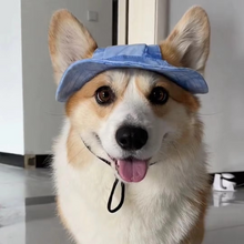 Load image into Gallery viewer, Chic Pet Sun Hat - Lightweight & Stylish Sun Protection for Dogs and Cats