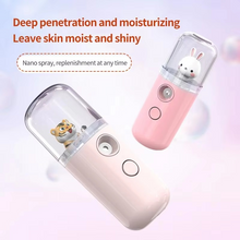Load image into Gallery viewer, Portable Facial Mist Sprayer Rechargeable Mini Steamer for Deep Hydration