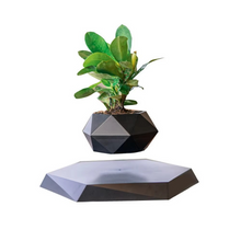 Load image into Gallery viewer, Magnetic Levitating Bonsai Planter, Floating Flower Pot for Home and Office Décor