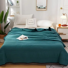 Load image into Gallery viewer, Summer Lightweight Quilt Solid Color All Season Comforter for Double Bed