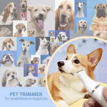 Load image into Gallery viewer, Ultimate Pet Grooming Kit: Quiet Hair Clipper, Nail Grinder & Paw Trimmer