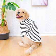 Load image into Gallery viewer, Cotton Summer T-Shirt for Large Dogs – Breathable Tee for Golden Retrievers, Huskies, Labradors, Corgis and More