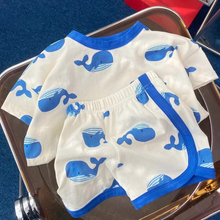 Load image into Gallery viewer, 2PCS Summer Baby Outfit Set, Cotton Short Sleeve Top and Shorts for Infants and Toddlers