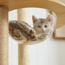 Load image into Gallery viewer, Modern Design Cat Tree for Indoor Cats