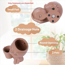 Load image into Gallery viewer, Chic Dual Face Head Planters for Indoor and Outdoor Use