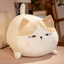 Load image into Gallery viewer, Kawaii Soft Cat Stuffed Animal Plush Pillow