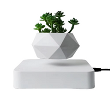 Load image into Gallery viewer, Magnetic Levitating Bonsai Planter, Floating Flower Pot for Home and Office Décor