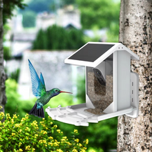 Load image into Gallery viewer, Solar-Powered Smart Bird Feeder with HD AI Camera