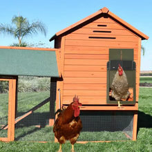 Load image into Gallery viewer, Smart Automatic Chicken Coop Door Opener with Light Sensor and Waterproof Design