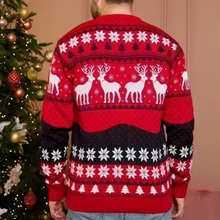 Load image into Gallery viewer, Anime 3D Print Ugly Christmas Pullover for Autumn and Winter