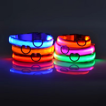 Load image into Gallery viewer, LED Glow in the Dark Dog Leash with Nylon Safety Light
