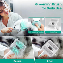 Load image into Gallery viewer, 5-in-1 Dog Grooming Vacuum Kit – Low Noise Pet Hair Remover with Deshedding Tools & Dust Cup
