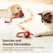 Load image into Gallery viewer, Rechargeable Automatic Cat Ball Toy with Dynamic Tail