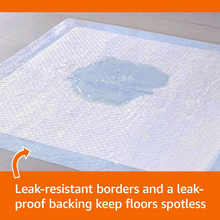 Load image into Gallery viewer, 30-Pack Super Absorbent Disposable Urine Pads for Pets and Elderly Care, 13 x 18 Inches