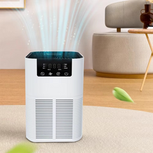 Load image into Gallery viewer, Compact Air Purifier with HEPA Filter, Aromatherapy, and Quiet Operation