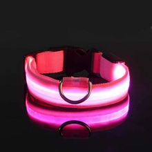 Load image into Gallery viewer, LED Glow in the Dark Dog Leash with Nylon Safety Light