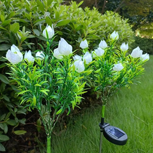 Load image into Gallery viewer, Solar Gardenia Flower Lights Outdoor Waterproof 42 LED Landscape Lights for Garden and Pathway Decor