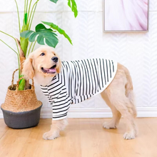 Load image into Gallery viewer, Cotton Summer T-Shirt for Large Dogs – Breathable Tee for Golden Retrievers, Huskies, Labradors, Corgis and More