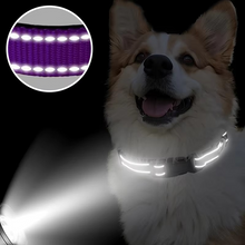 Load image into Gallery viewer, Reflective Comfort Collar for Dogs – Soft, Adjustable, and Breathable