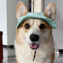 Load image into Gallery viewer, Chic Pet Sun Hat - Lightweight & Stylish Sun Protection for Dogs and Cats