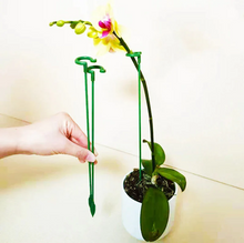 Load image into Gallery viewer, Plant Support Stakes for Indoor and Outdoor Plants, Fiberglass Construction