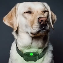 Load image into Gallery viewer, Electric Anti Bark Collar for Dogs, Waterproof with Long Range Remote