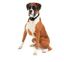 Load image into Gallery viewer, Electric Anti Bark Collar for Dogs, Waterproof with Long Range Remote