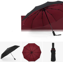 Load image into Gallery viewer, Windproof Folding Storm Umbrella for Total Rain and Wind Protection