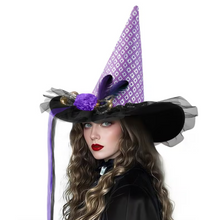 Load image into Gallery viewer, Light Up Witch Hat with Spider Web Pattern and Rose Accents in Five Styles