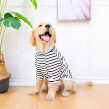 Load image into Gallery viewer, Cotton Summer T-Shirt for Large Dogs – Breathable Tee for Golden Retrievers, Huskies, Labradors, Corgis and More