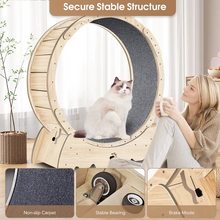 Load image into Gallery viewer, Indoor Cat Exercise Wheel with Carpeted Runway for Weight Control and Activity