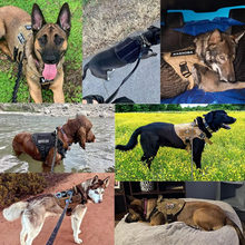 Load image into Gallery viewer, Tactical Dog Harness and Leash Set for Medium and Large Dogs