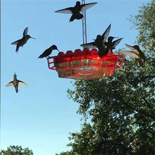 Load image into Gallery viewer, Outdoor Hummingbird Feeder with 30 Feeding Ports Leak Proof Easy Clean Design