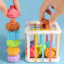 Load image into Gallery viewer, Montessori Shape Sorting Sensory Cube for Early Learning and Motor Skill Development