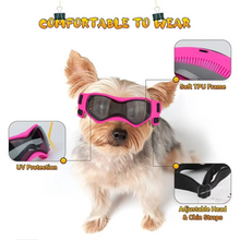Load image into Gallery viewer, Protective UV Sunglasses for Small Dogs with Adjustable Straps