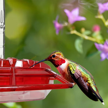Load image into Gallery viewer, Outdoor Hummingbird Feeder with 30 Feeding Ports Leak Proof Easy Clean Design