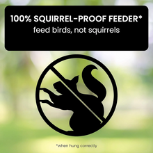 Load image into Gallery viewer, Sparky Squirrel-Proof Bird Feeder 1