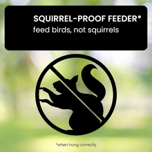 Load image into Gallery viewer, Sparky Squirrel-Proof Bird Feeder 1