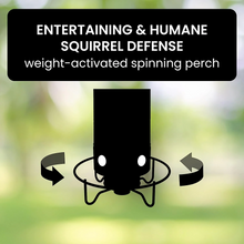 Load image into Gallery viewer, Sparky Squirrel-Proof Bird Feeder 3