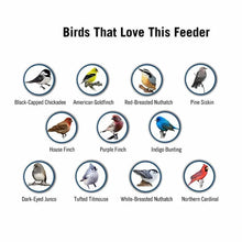 Load image into Gallery viewer, Sparky Squirrel-Proof Bird Feeder 5
