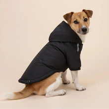 Load image into Gallery viewer, Dog Hoodie Jacket, Warm Fleece Lining and Waterproof Fabric