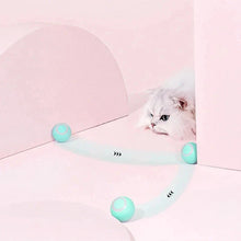 Load image into Gallery viewer, 2 in 1 Simulated Interactive Hunting Cat Toy