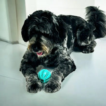 Load image into Gallery viewer, Dog Treat Ball Interactive Chew Toy
