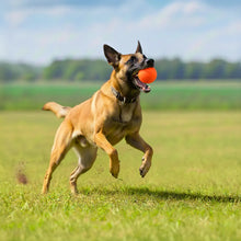 Load image into Gallery viewer, Dog Bouncing Ball, Durable Rubber Interactive Toy