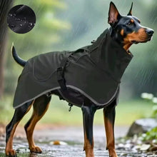 Load image into Gallery viewer, Waterproof Dog Coat for Dobermann, Fitted Design