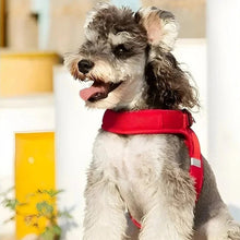 Load image into Gallery viewer, Small Dog Harness, Lightweight Adjustable Easy-On Design