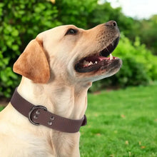 Load image into Gallery viewer, Leather Dog Collar, Adjustable Genuine Leather Design